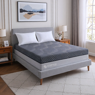 AIHouse SUN QUEEN HYBRID CORE 14Inch